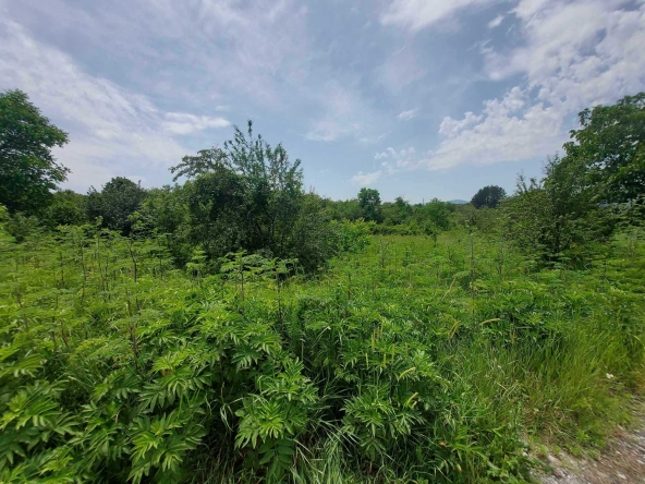 Парцел в Търговище, Изток 1 - 1762 кв.м за 29 €/кв.м - Снимка #1