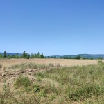 Парцел в Търговище, Запад 2 - 4027 кв.м за 15 €/кв.м - Снимка #1