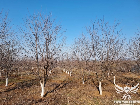 Земеделски имот в с. Долнослав, Област Пловдив -  кв.м за 2632 €/дка - Снимка #1