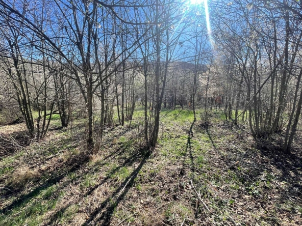 Парцел в Габрово, Център - 757 кв.м за 16 €/кв.м - Снимка #1