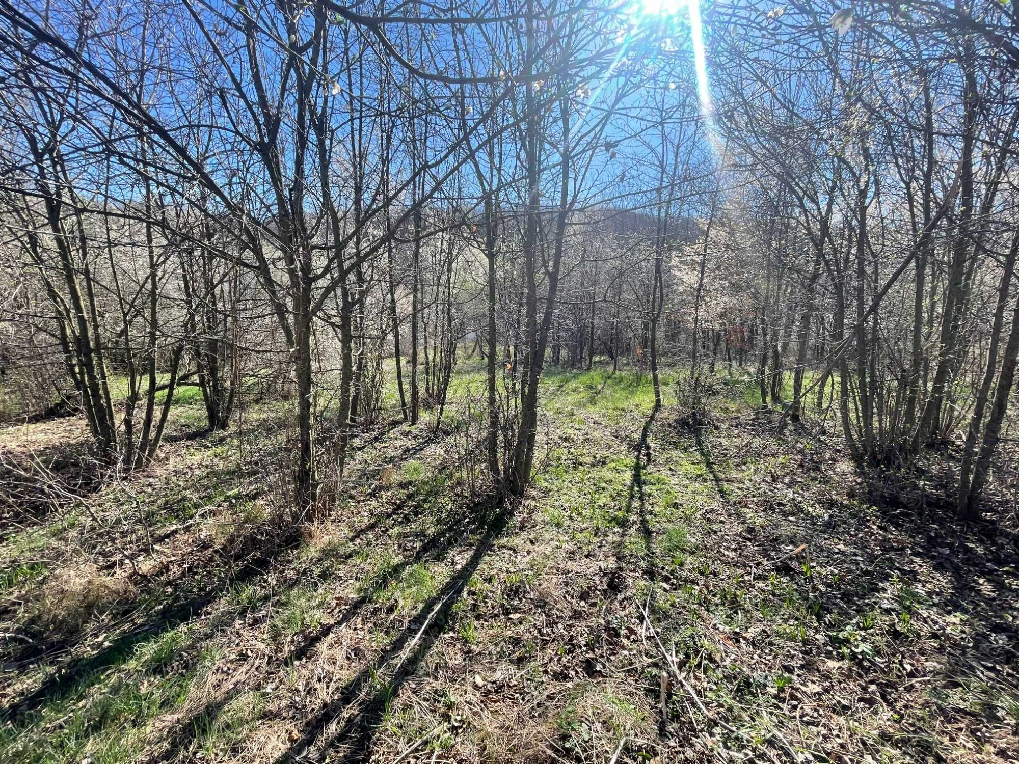 Парцел в Габрово, Център - 757 кв.м за 16 €/кв.м - Снимка #1