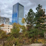 Дава се под наем Гараж / Паркомясто в София, Изток - 20 кв.м за 159.12 € - Снимка #1