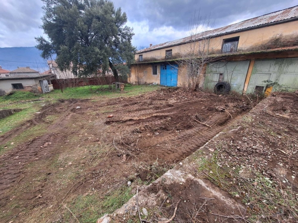 Дава се под наем Офис в Петрич - 750 кв.м за 548.25 € - Снимка #1