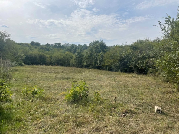 Земеделски имот в Габрово, Център -  кв.м за 7140 €/дка - Снимка #1