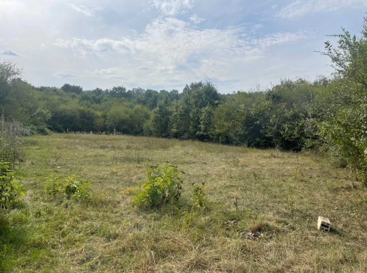 Земеделски имот в Габрово, Център -  кв.м за 7140 €/дка - Снимка #1