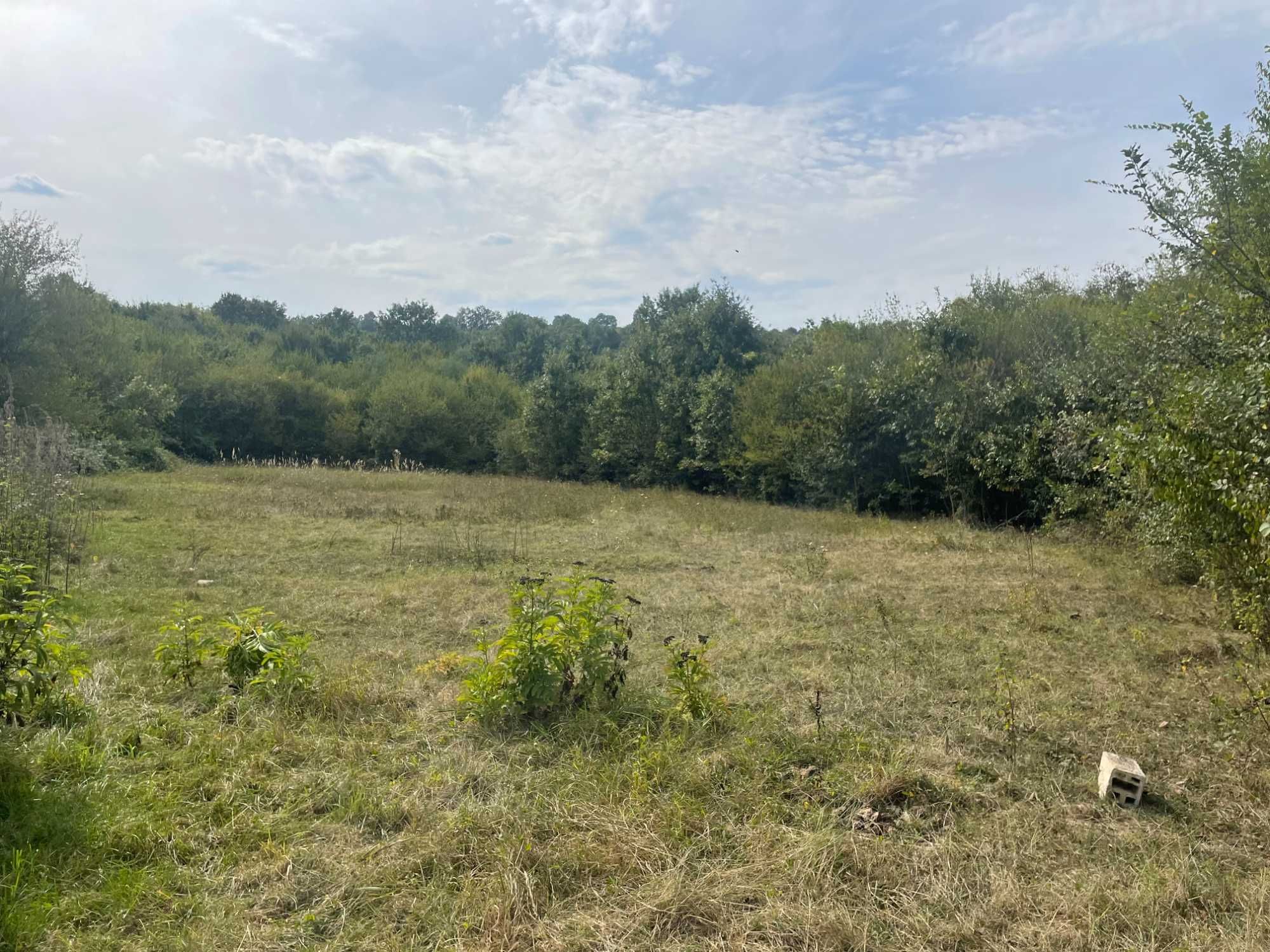 Земеделски имот в Габрово, Център -  кв.м за 7140 €/дка - Снимка #1