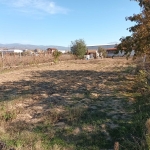 Дава се под наем Парцел в Благоевград, Грамада - 540 кв.м за 255 € - Снимка #1