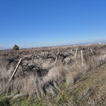 Земеделски имот в с. Брестовица, Област Пловдив -  кв.м за 2040 €/дка - Снимка #1