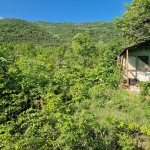 Земеделски имот в Асеновград -  кв.м за 4 €/дка - Снимка #1