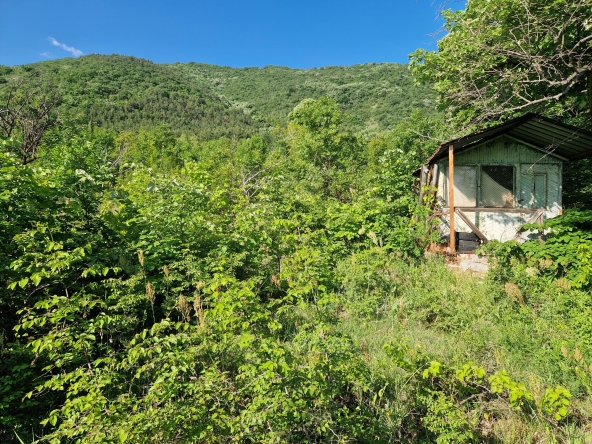 Земеделски имот в Асеновград -  кв.м за 4 €/дка - Снимка #1