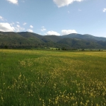 Земеделски имот в с. Говедарци, Област София-област -  кв.м за 10149 €/дка - Снимка #1