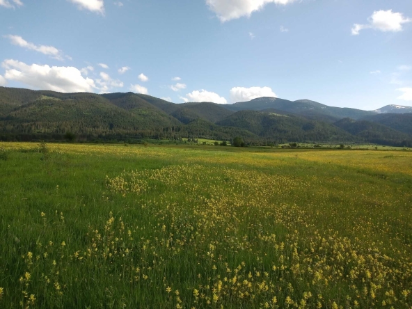 Земеделски имот в с. Говедарци, Област София-област -  кв.м за 10149 €/дка - Снимка #1