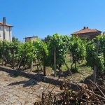 Парцел в Варна, Младост 1 - 490 кв.м за 62 €/кв.м - Снимка #1