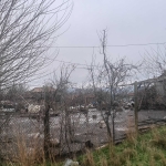 Парцел в Провадия - 1000 кв.м за 18 €/кв.м - Снимка #1