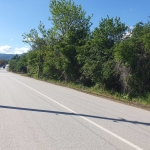 Парцел в с. Къпиново, Област Велико Търново - 1500 кв.м за 6 €/кв.м - Снимка #1