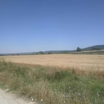 Парцел в Игнатиево - 3125 кв.м за 20 €/кв.м - Снимка #1