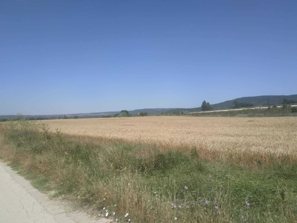 Парцел в Игнатиево - 3125 кв.м за 20 €/кв.м - Снимка #1