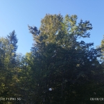 Земеделски имот в Белослав -  кв.м за 680 €/дка - Снимка #1