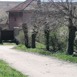 Парцел в с. Николаево, Област Плевен - 1000 кв.м за 7 €/кв.м - Снимка #1