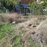 Парцел в Силистра, Център - 430 кв.м за 56 €/кв.м - Снимка #1