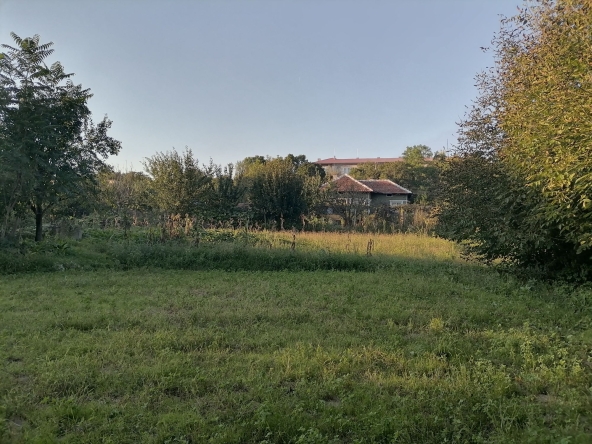 Къща в Берковица - 60 кв.м за 85 €/кв.м - Снимка #1