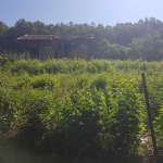 Парцел в с. Владая, Област София-град - 2250 кв.м за 45 €/кв.м - Снимка #1