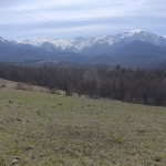 Парцел в Троян - 2000 кв.м за 8 €/кв.м - Снимка #1