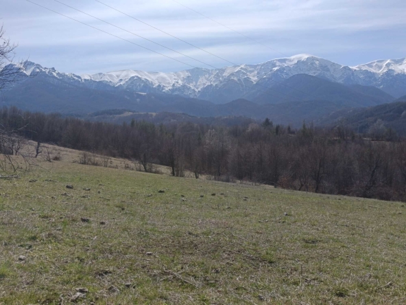 Парцел в Троян - 2000 кв.м за 8 €/кв.м - Снимка #1