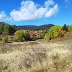 Парцел в Смолян, Езерово - 3136 кв.м за 18 €/кв.м - Снимка #1