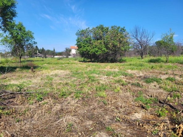 Парцел в с. Дълбоки, Област Стара Загора - 1000 кв.м за 12 €/кв.м - Снимка #1