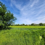 Парцел в Добрич, Христо Ботев - 1700 кв.м за 6 €/кв.м - Снимка #1