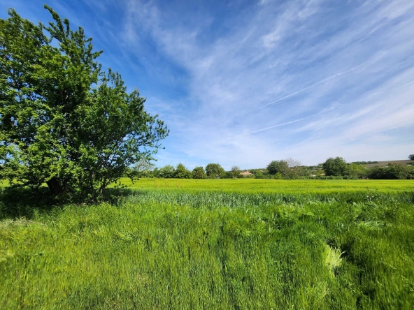 Парцел в Добрич, Христо Ботев - 1700 кв.м за 6 €/кв.м - Снимка #1