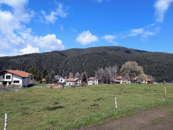 Парцел в с. Говедарци, Област София-област - 800 кв.м за 31 €/кв.м - Снимка #1