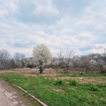 Парцел в Търговище, Промишлена зона - 9458 кв.м за 41 €/кв.м - Снимка #1