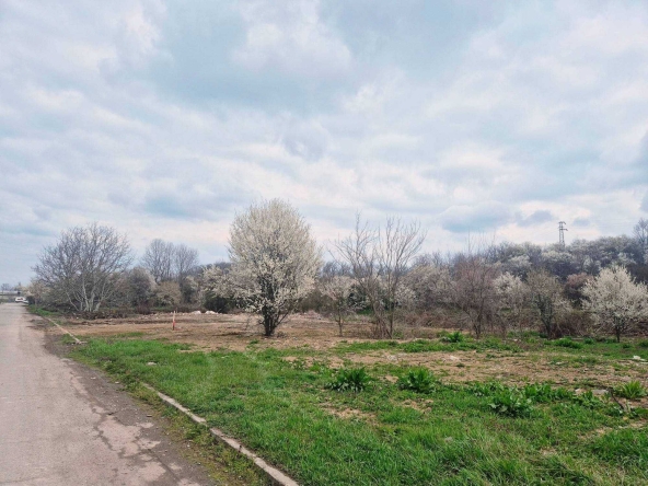 Парцел в Търговище, Промишлена зона - 9458 кв.м за 41 €/кв.м - Снимка #1