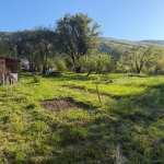 Парцел в с. Полянци, Област София-област - 1428 кв.м за 38 €/кв.м - Снимка #1
