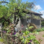 Къща в Малко Търново - 70 кв.м за 277 €/кв.м - Снимка #1