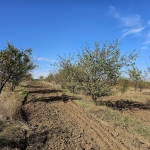 Земеделски имот в Плевен, Мара Денчева -  кв.м за 661 €/дка - Снимка #1