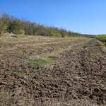 Земеделски имот в Плевен, Дружба 1 -  кв.м за 510 €/дка - Снимка #1