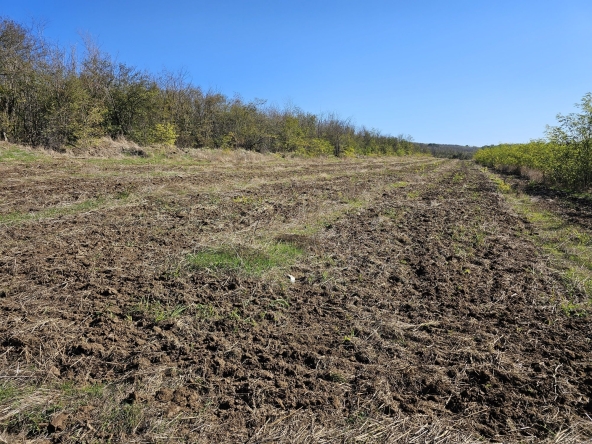 Земеделски имот в Плевен, Дружба 1 -  кв.м за 510 €/дка - Снимка #1