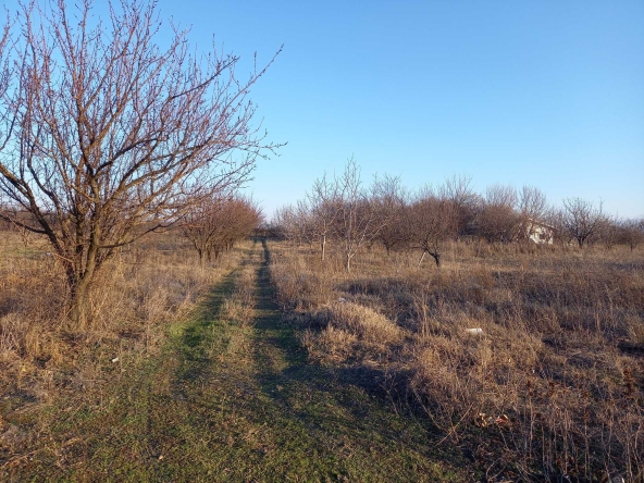 Парцел в с. Крумово, Област Пловдив - 4 кв.м за 20000 €/кв.м - Снимка #1