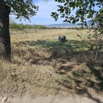 Парцел в Сапарева баня - 3096 кв.м за 7 €/кв.м - Снимка #1