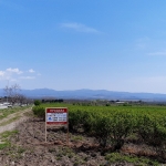 Земеделски имот в Сопот -  кв.м за 28050 €/дка - Снимка #1