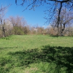 Парцел в с. Николаево, Област Плевен - 1000 кв.м за 4 €/кв.м - Снимка #1