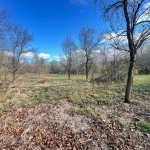 Парцел в Габрово, Център - 2000 кв.м за 6 €/кв.м - Снимка #1