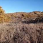 Парцел в с. Лясково, Област Стара Загора - 6967 кв.м за 5 €/кв.м - Снимка #1