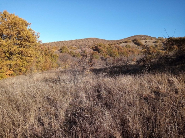 Парцел в с. Лясково, Област Стара Загора - 6967 кв.м за 5 €/кв.м - Снимка #1