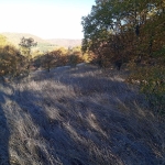 Парцел в с. Лясково, Област Стара Загора - 2220 кв.м за 10 €/кв.м - Снимка #1