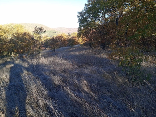 Парцел в с. Лясково, Област Стара Загора - 2220 кв.м за 10 €/кв.м - Снимка #1