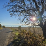 Земеделски имот в с. Рогош, Област Пловдив -  кв.м за 7600 €/дка - Снимка #1